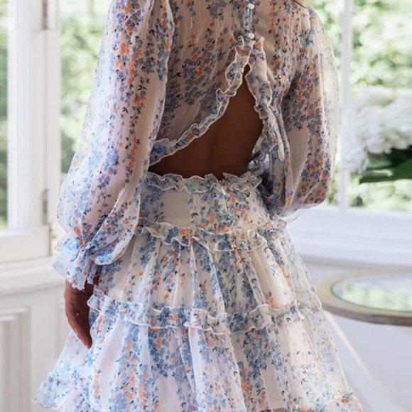 Brand new beautiful and highly sought after and versatile dress - Picture 1 of 3